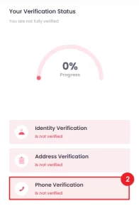 choose phone verification